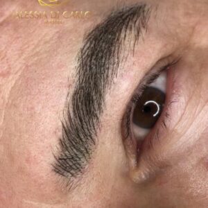 72482286_1443695379120709_6033084455533412352_n